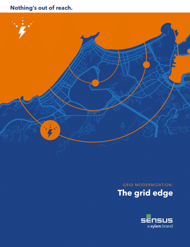 Grid Modernization : The grid edge