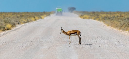 La situation énergétique de l’Afrique en infographies