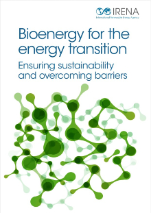 Bioenergy for the Transition: Ensuring Sustainability and Overcoming Barriers – IRENA